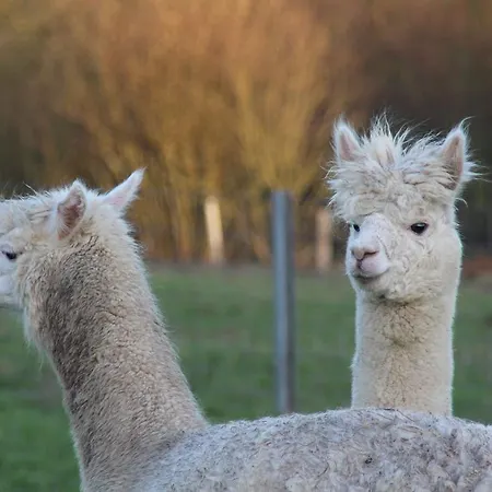 La Ferme D'a Yaaz Arlon