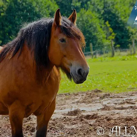 La Ferme D'a Yaaz *