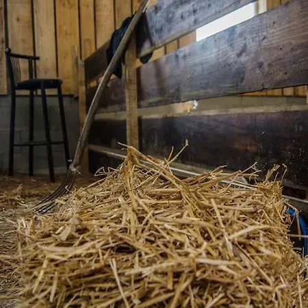 Gospodarstwo agroturystyczne La Ferme D'a Yaaz Arlon
