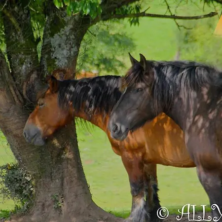 Farm stay La Ferme D'a Yaaz Arlon