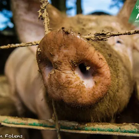 Gospodarstwo agroturystyczne La Ferme D'a Yaaz